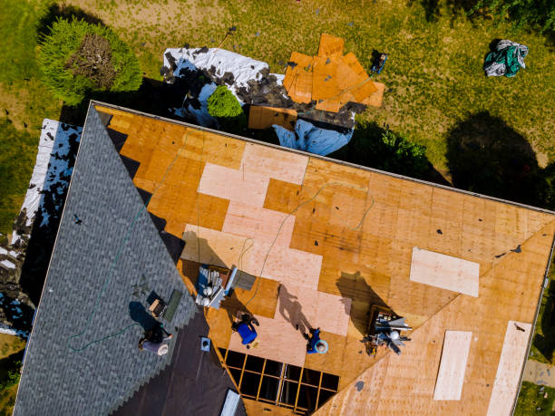 Best Roof Restoration Services  in Renville, MN