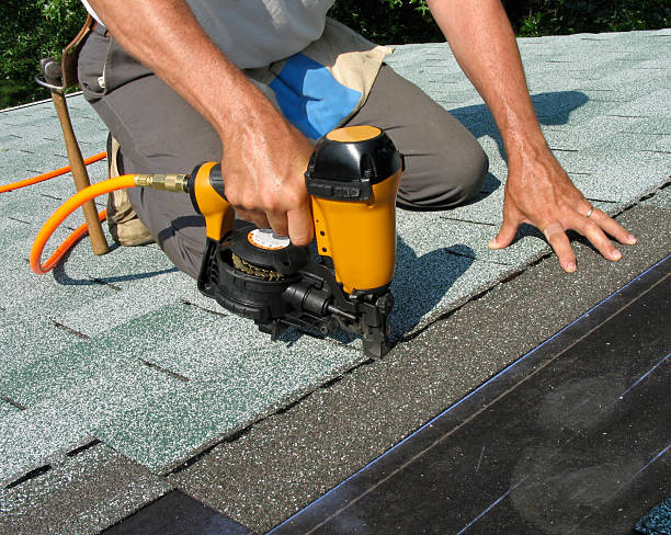 Best Roof Gutter Cleaning  in Renville, MN