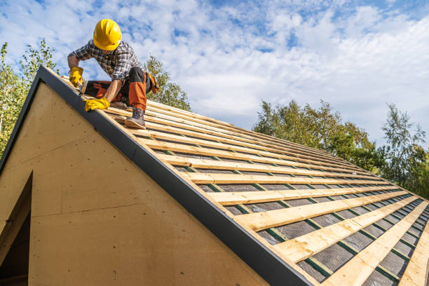 Best Shingle Roofing Installation  in Renville, MN