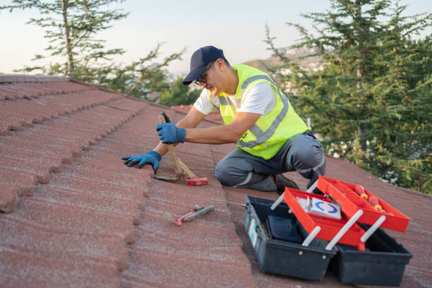 Best Roof Leak Repair  in Renville, MN