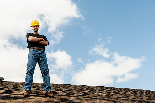 Best Roof Maintenance Services  in Renville, MN