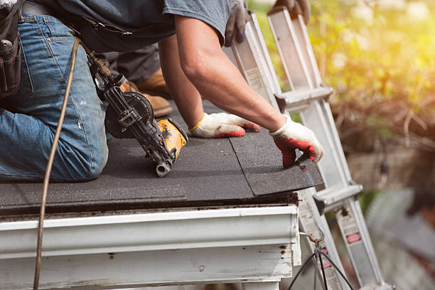 Roof Gutter Cleaning in Renville, MN
