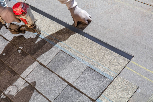 Best Commercial Roofing Services  in Renville, MN