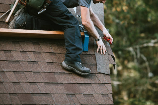 Best Metal Roofing Contractor  in Renville, MN