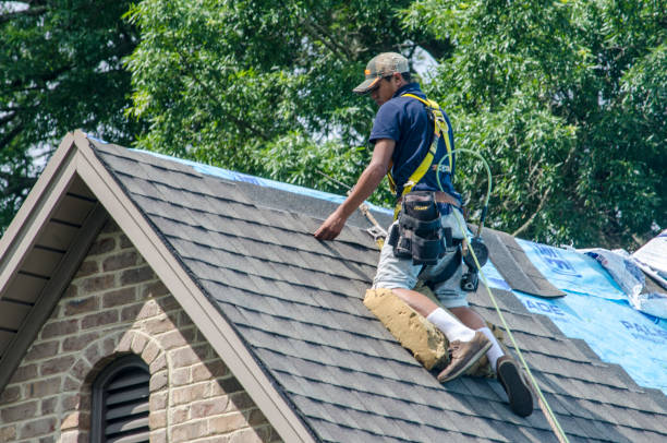 Best Roof Replacement Cost  in Renville, MN